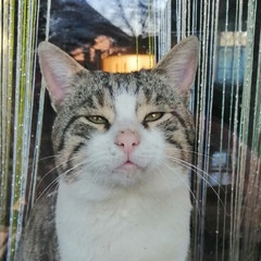 Виталий Семендяев