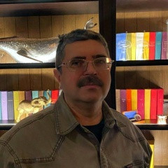 Владимир Васильев